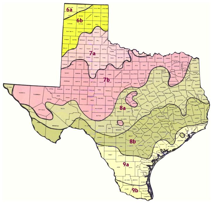 don-t-get-burned-with-tropical-landscaping-khou